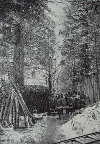Campement d'hiver dans les Vosges